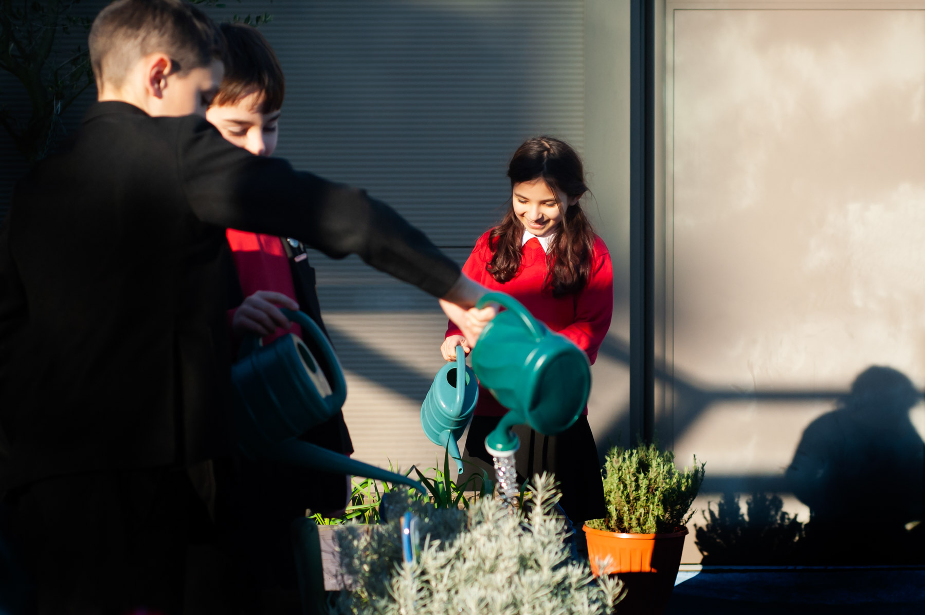 Pupils watering plants on roof garden